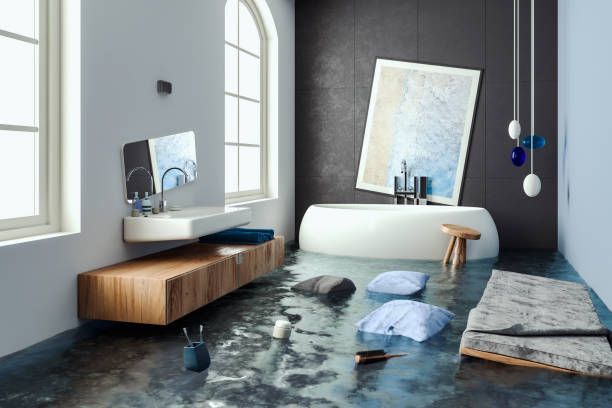 Best Water damage cleanup near me  in Pioche, NV