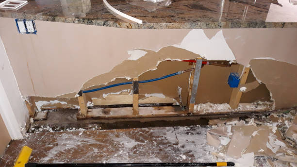 Best Water damage restoration near me  in Pioche, NV