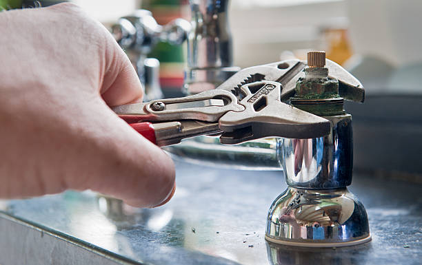 Best Local water damage restoration  in Pioche, NV