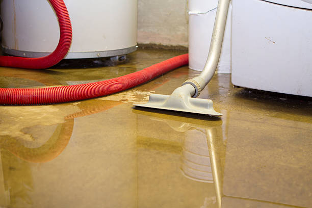 Best Commercial water damage restoration  in Pioche, NV