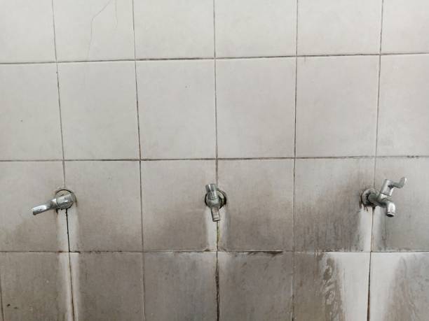 Water damage restoration insurance claims in Pioche, NV