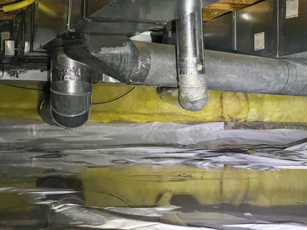 Best Professional water damage repair  in Pioche, NV